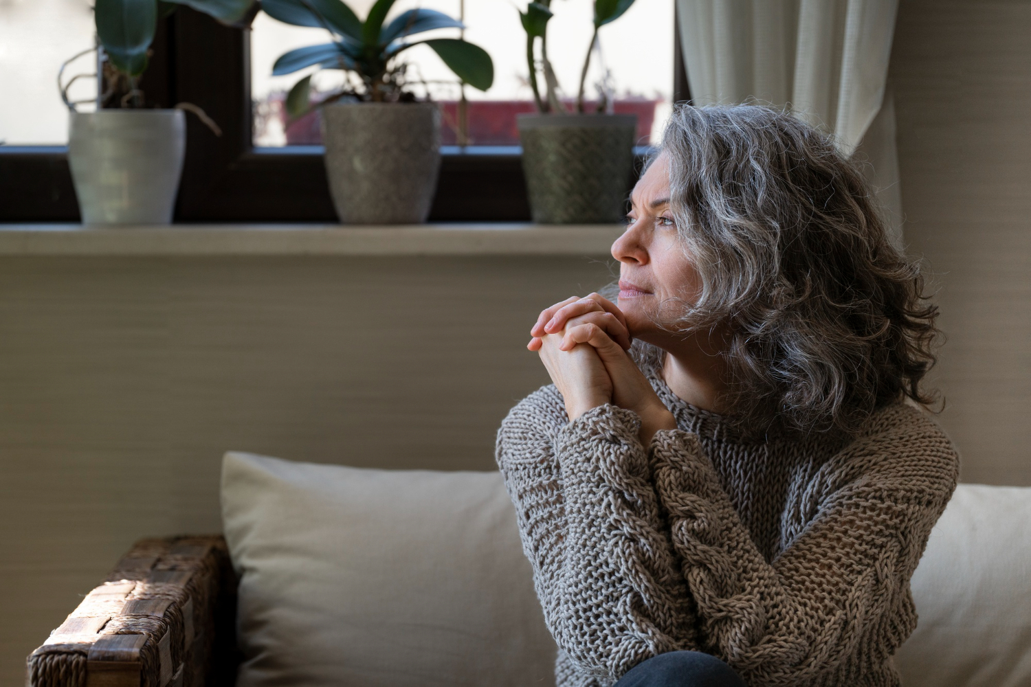 Understanding Mental Health in Older Adults Seminar led by HomeInstead